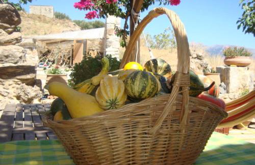 Orgon Farm Village Houses - Foto 19