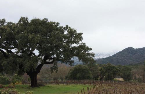 Carvalhal Redondo - Farm House - Foto 14