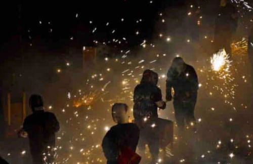 Ruzafa experience Oceanografic ciencias - Photo 32