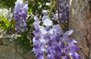 Résidence Terra Théa - Foto 101