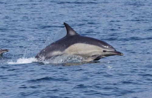 "Balmoral View" - Foto 46