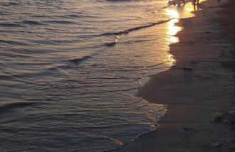 Casa Vacanze - Da Peppina - Foto 23