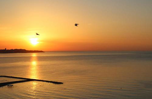 Atico Atalaya - Photo 50