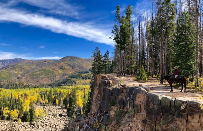 Vista Verde Ranch All-inclusive - Adults Only - Foto 57