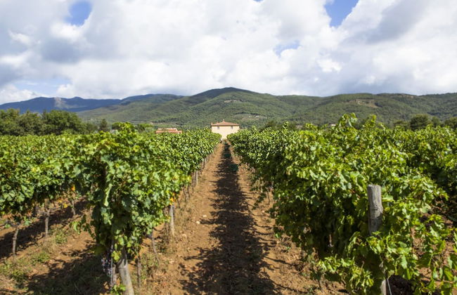 Il Borro - Relais & Châteaux - Foto 41