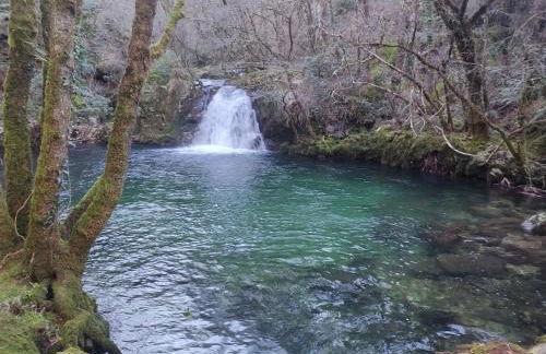 O Campo DaFolla - Foto 27