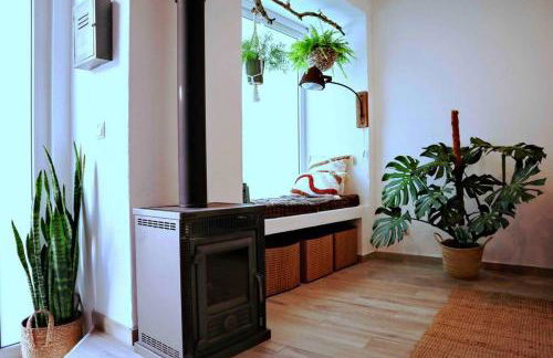 Sopas e Descanso - Foto 4