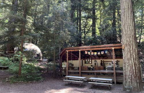 Private Glamping Getaway in the Redwoods near Santa Cruz, California - Foto 43