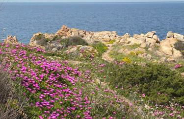 CASA MUGHETTO R5055 WiFi, seafront, private sea access, swimming pool - Foto 36