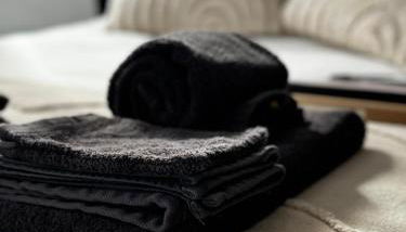 La Duchesse, Studio cosy à Versailles, à 2 min du Château - Foto 4, towels