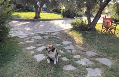 Elia by the sea - Photo 22