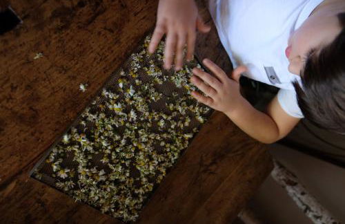 Tenuta Agriturismo La Borina - Foto 58