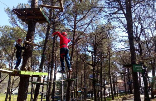 La perla di nicolosi - Foto 32