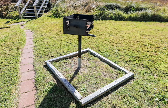 Barefoot Pelican - Foto 13