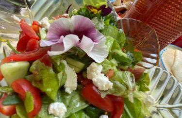 Siedlisko Urszulanka Dom - Foto 15