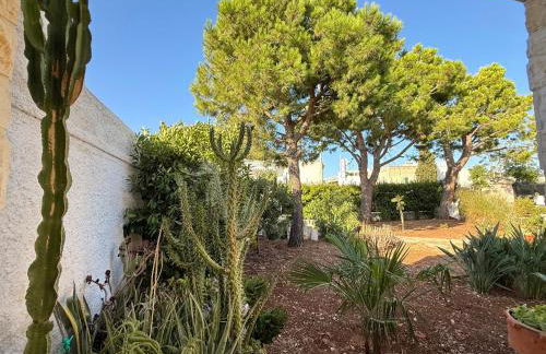 Villa Grazia - Foto 49