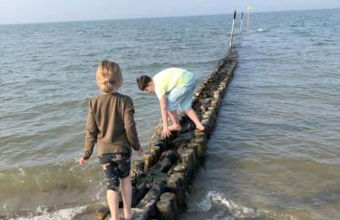 Minsener Warft - Photo 42