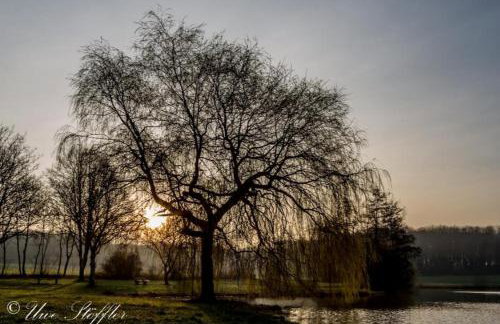 Ferienhaus Loft in der alten Schreinerei - Foto 35