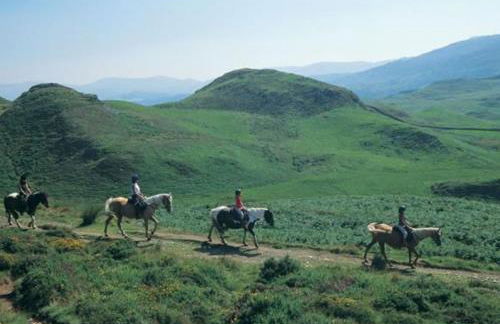 Ysgubor Illtyd - Foto 15