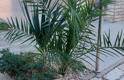 Apartments KUS Ugljan - Photo 2