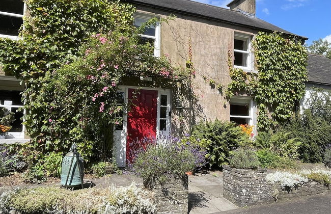 Ballylagan Organic Farm - Foto 31