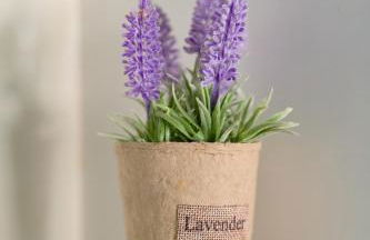 Sea-View Apt Argyroupoli, Athens - Foto 22