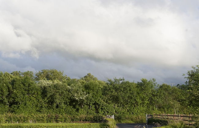 Inviting 4-bed House in Strokestown - Photo 10