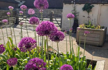 The Manor Pen - Foto 6