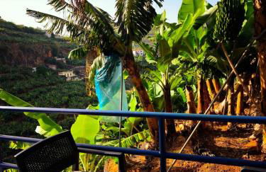 Cascata da Giesta House - Foto 23