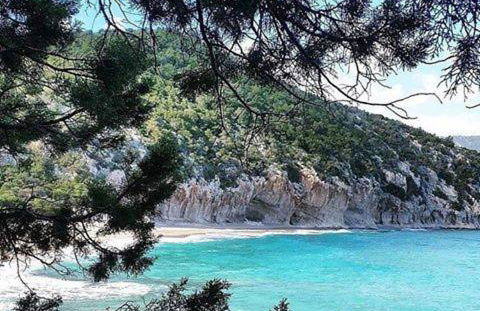 Apartment Altomare - Foto 42