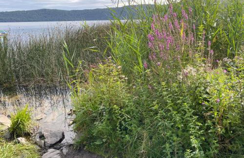 Paradies in der Vulkaneifel mit Panorama-Blick - Foto 40