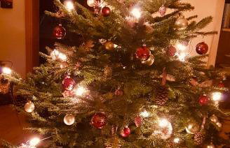 Ferienwohnung im Landhaus am Nationalpark - Foto 40