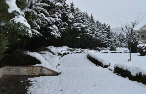 KTHMA TZHKA - Villa Elassona - Photo 51