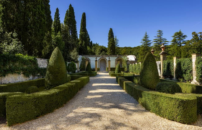 Torre a Cona Wine Estate - Foto 53