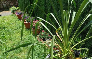 Arena Tu Apartamento en Llanes - Foto 43