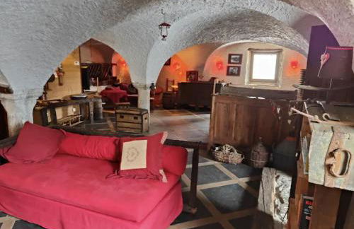 Aux grandes cours - Photo 9