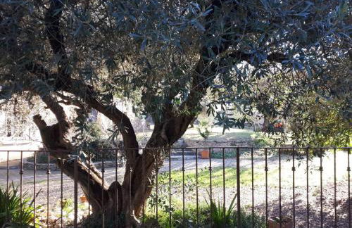 La Cartagène - charmant appartement entouré de nature - Photo 21