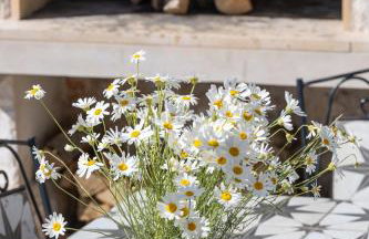 Father's Heart Villa - ZF Hvar - Photo 38