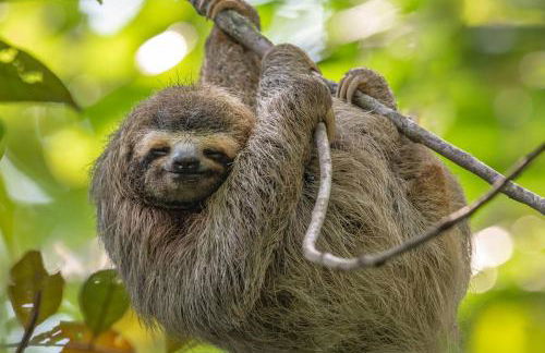 Lagoon Landing 303 - Foto 50