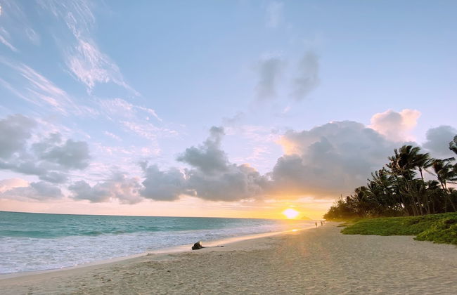 Hale Oahu Cottage by Avantstay Stunning Beachfront Estate! - Foto 17