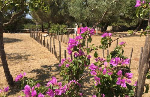 Grano Arso Appartamento Turistico - Foto 66