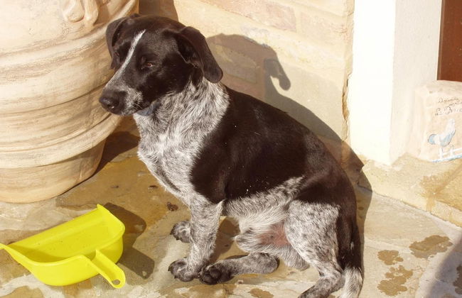 Agriturismo Le Bucoliche - Foto 39