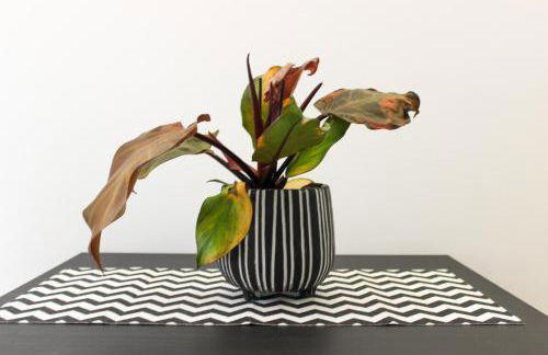 Casa Carlotta - Foto 37