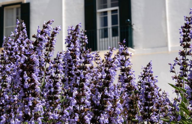 Filippo de Raho Agri Bio Relais - Photo 57