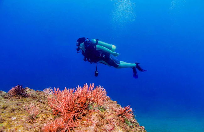 Las Caletas Scuba Diving Introduction - Foto 6