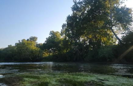 River RV, Romance Glamping Pup Paradise Riverside - Foto 22