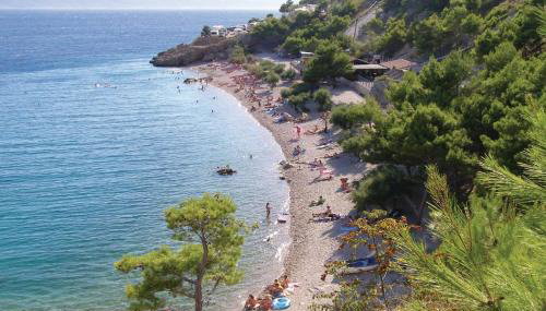 Apartments Coko - Foto 3