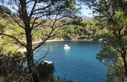 CASTELL BLAU - Foto 57