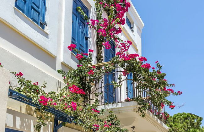 Tour di un'intera giornata con farfalle e barca all'isola di Chalki - Foto 8