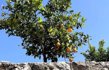 Maison Théia, entre mer et montagne Samonas - Foto 7